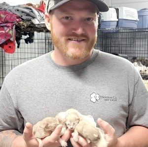 Meet your Posher, Chris